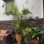 Casa Paliani Hébergement de vacances