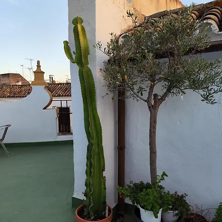 Casa Paliani Holiday home *