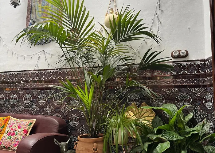 Casa Paliani Holiday home