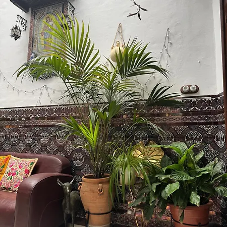 Casa Paliani Ferienhaus