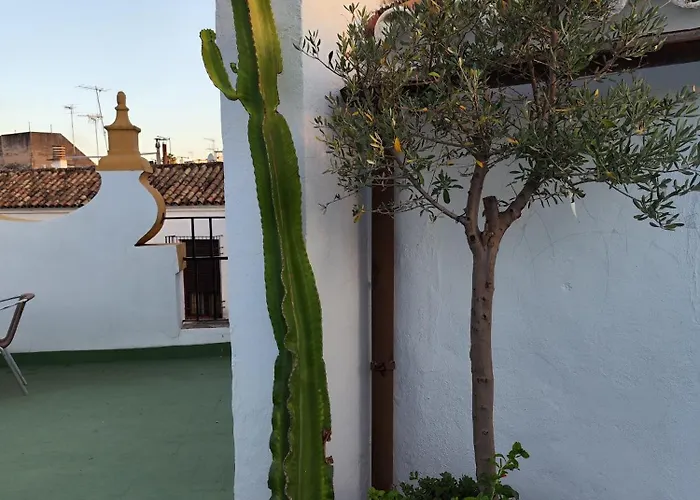 Casa Paliani Casa vacanze *